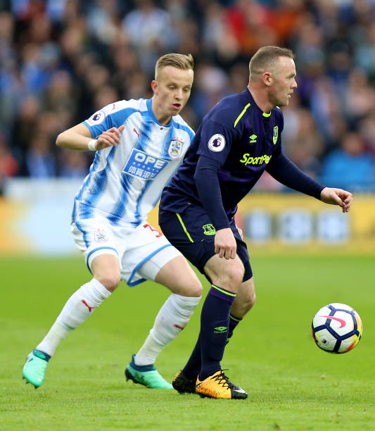 明星的自然 明星的自然