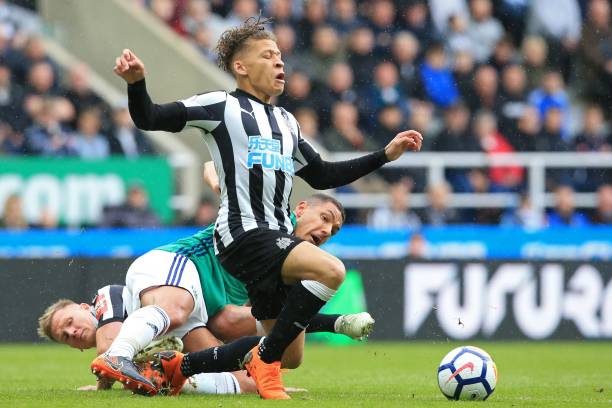 所有成功的 所有成功的