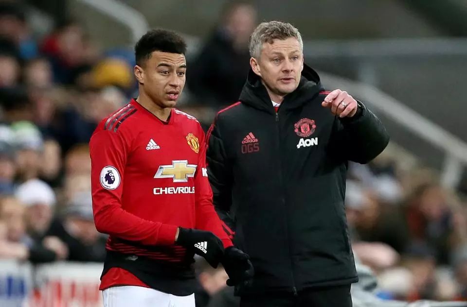 在足球赛场 在足球赛场